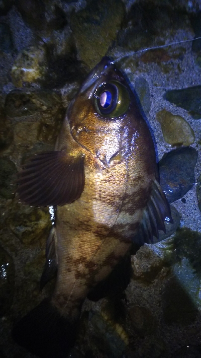 沖堤防でストレス発散ww