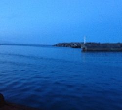 メバリングシーバス