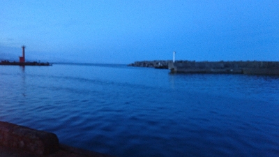 メバリングシーバス