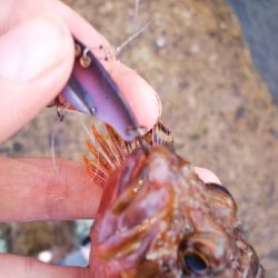 ストレス発散野島沖堤防！