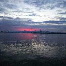 久しぶりの爆釣