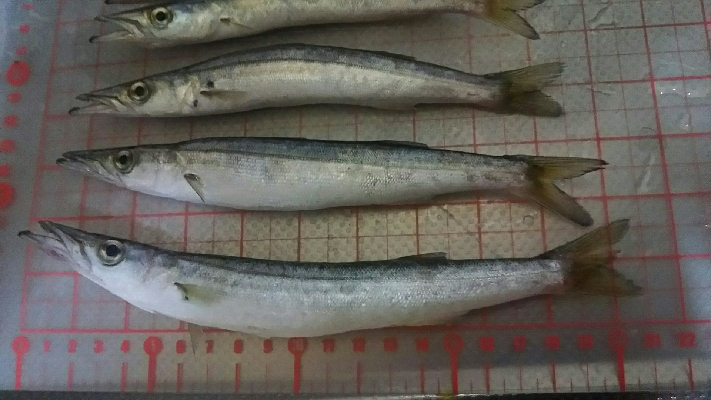 夕方にかるーく