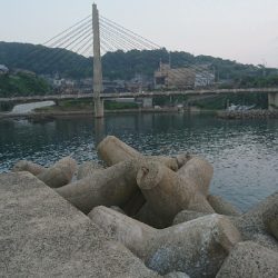 ショアスローでロックフィッシュ(∩´∀｀)∩ﾜｰｲ