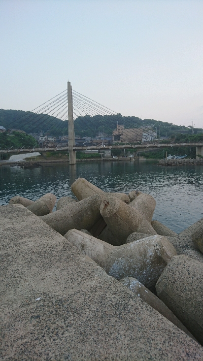 ショアスローでロックフィッシュ(∩´∀｀)∩ﾜｰｲ