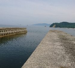 暑さにも負けず