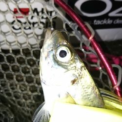 厳しかったぁー