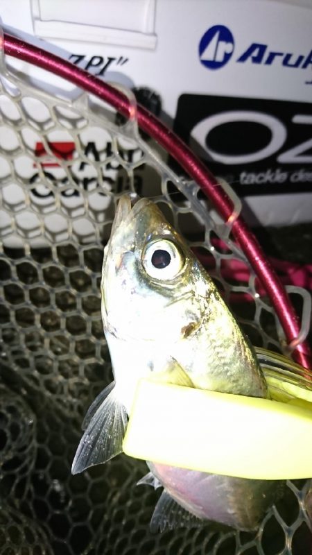 厳しかったぁー