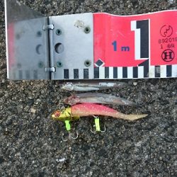 良い感じの海でした。