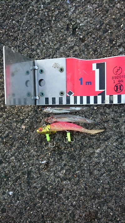 良い感じの海でした。