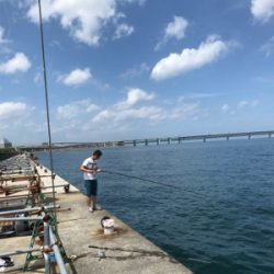 めちゃくちゃ釣れてますよ！