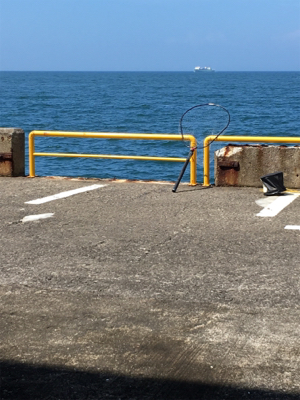 ハマチは何処かで、