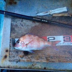 今週も水潮、さらに向い風