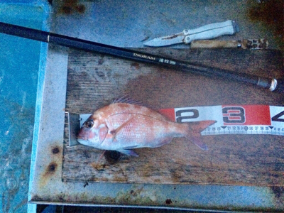 今週も水潮、さらに向い風