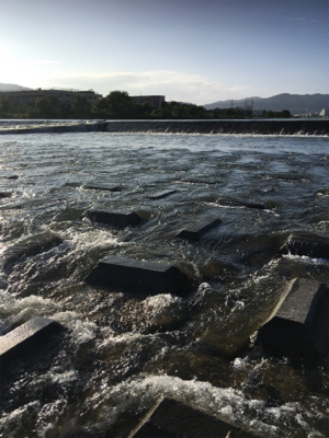 夕まづめナマズゲーム