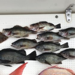 鯛ラバ  メバルサビキ