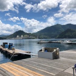 手漕ぎボート5目釣り