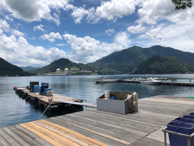 手漕ぎボート5目釣り