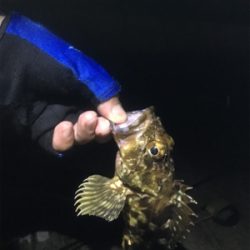 雷鳴を聞きながら