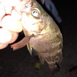 子供と海水浴帰りに♪