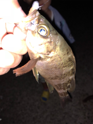 子供と海水浴帰りに♪