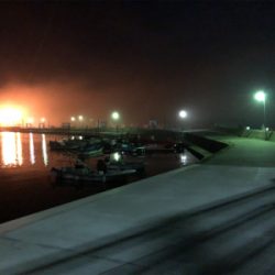 豊島・アジング好調