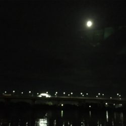 ボウズかと思った