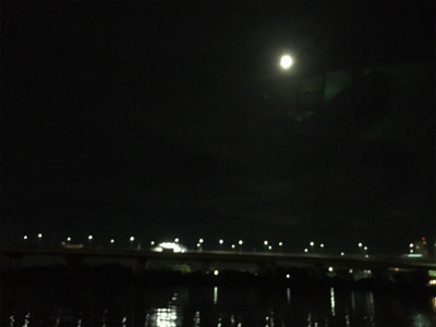 ボウズかと思った