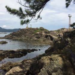 豆アジと根魚開幕！