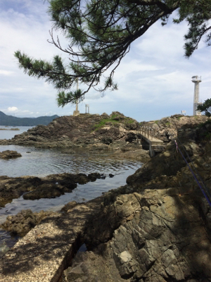 豆アジと根魚開幕！