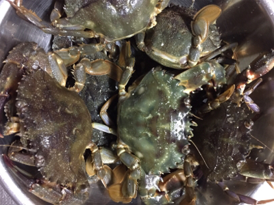 深夜のカニ釣り