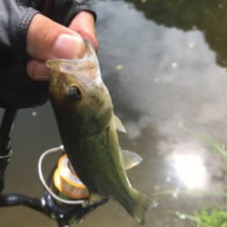 ドーン初フィッシュ！！