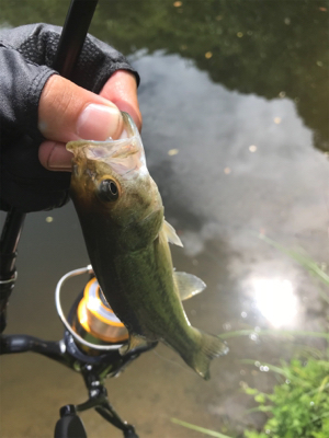 ドーン初フィッシュ！！