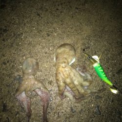 やっと、始まったかな？