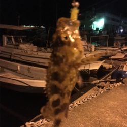 親父たちの釣行 台4弾