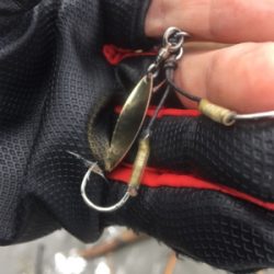 今シーズン初!のソゲ(-。-;