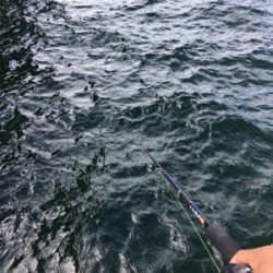 オクトパッシング