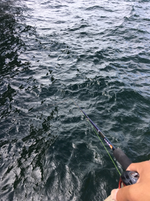 オクトパッシング