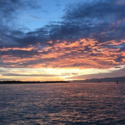 これからタコ釣りに専念！