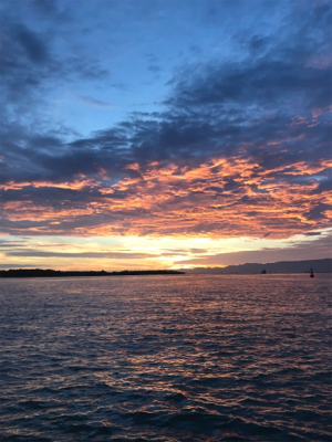 これからタコ釣りに専念！