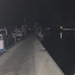 アジングでデート！