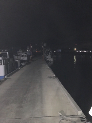 アジングでデート！