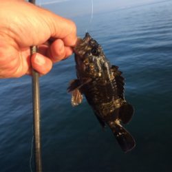 岬中学校〜プール裏まで通行禁止になってました。