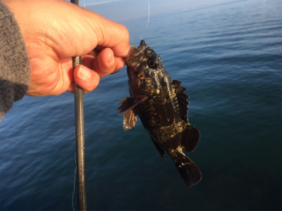 岬中学校〜プール裏まで通行禁止になってました。