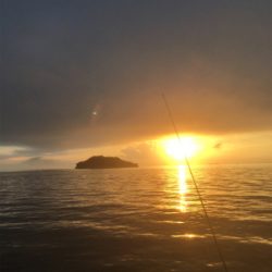 ライト サバゲー