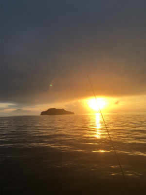 ライト サバゲー