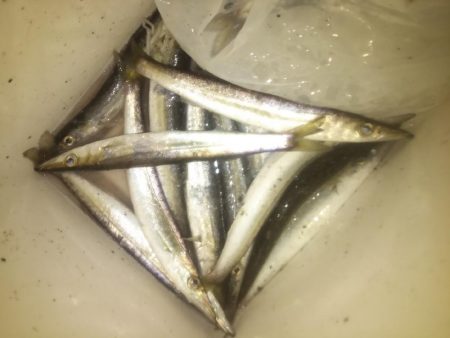 チョコっとカマッシング