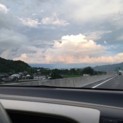 いつもの癒しスポット