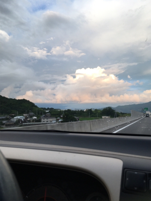 いつもの癒しスポット