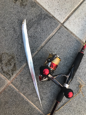 大雨後中1日目の様子