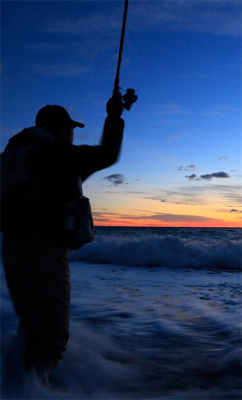 ミニミニツバス